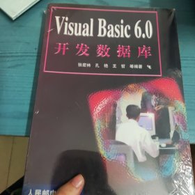 Visual Basic 6.0开发数据库