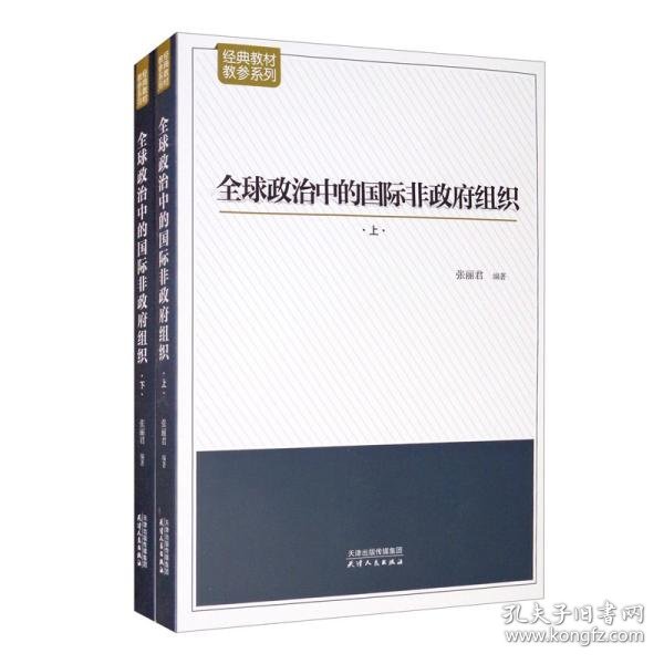 全球政治中的国际非政府组织：套装上下册