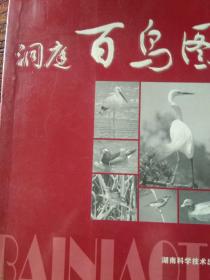 洞庭百鳥圖