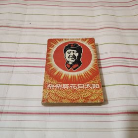 朵朵葵花向太阳