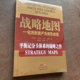 战略地图：化无形资产为有形成果【全新未开封】