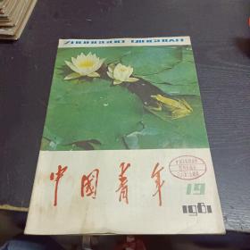 中国青年1981/19