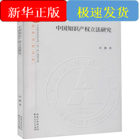中国知识产权立法研究