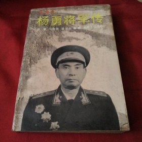 杨勇将军传（小32开平装）