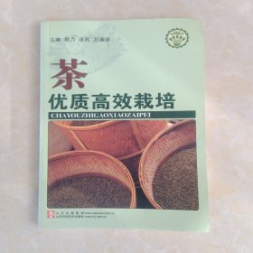 茶一优质高效栽培