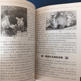 中国之最：天文地理 生物医学（最新图文版）