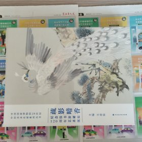 疏影暗香：纪念张书旂诞辰120周年艺术展（中国国家博物馆馆长王春法主编）