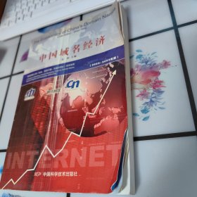 中国域名经济:2002～2003年版:网络营销工具(域名、搜索引擎、关键词网址)商务指南