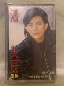 老磁带    潘美辰  【是你】   中国音乐家音像出版社出版