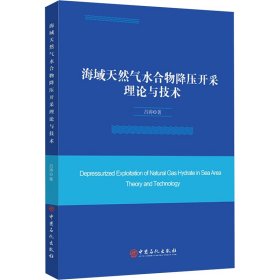 海域天然气水合物降压开采理论与技术