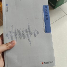 城市研究系列 浮现的世界：21世纪的城市与区域