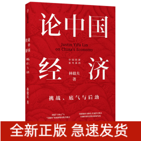 论中国经济：挑战、底气与后劲