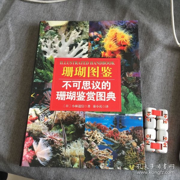 珊瑚图鉴：不可思议的珊瑚鉴赏图典