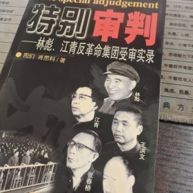 特别审判