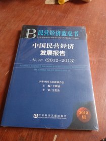民营经济蓝皮书：中国民营经济发展报告No.10（2012～2013）全新未拆封