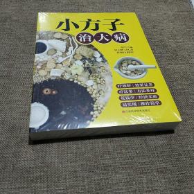 小方子治大病   中医书籍养生偏方大全民间老偏方美容养颜常见病防治 保健食疗偏方秘方大全小偏方老偏方中医健康养生保健疗法