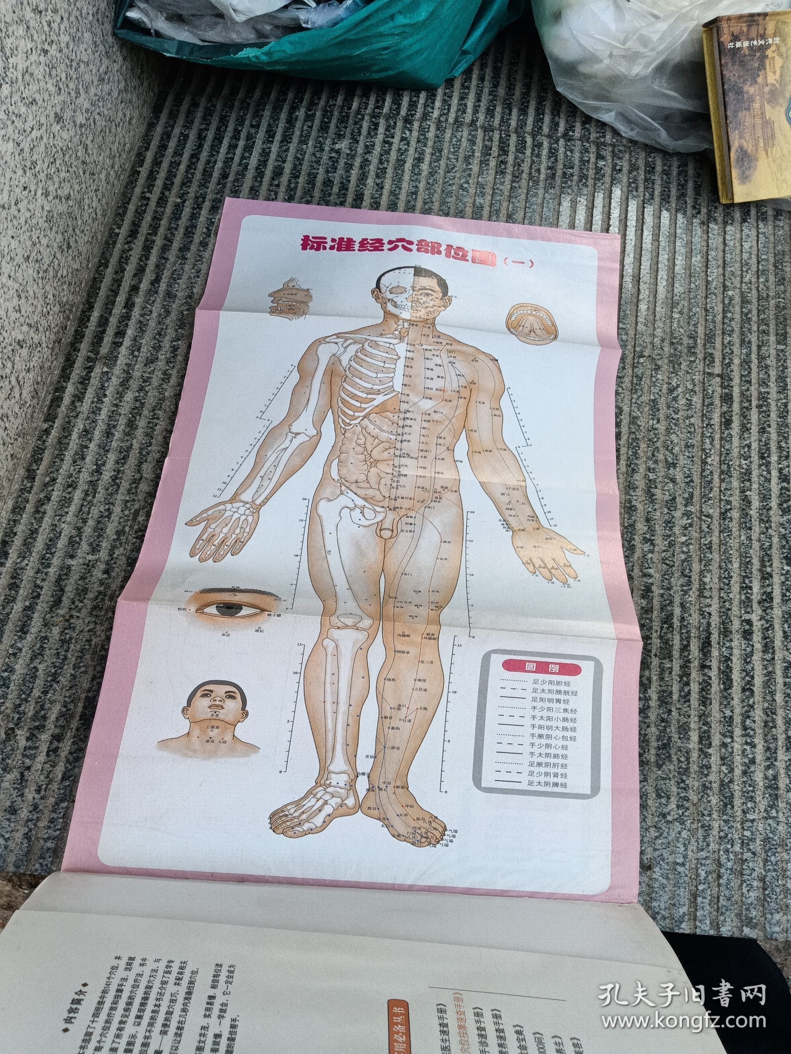 图解经络穴位按摩速查手册