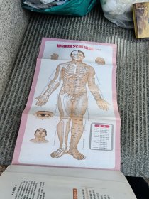 图解经络穴位按摩速查手册