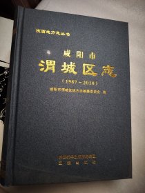 咸阳市渭城区志(1987一2010)