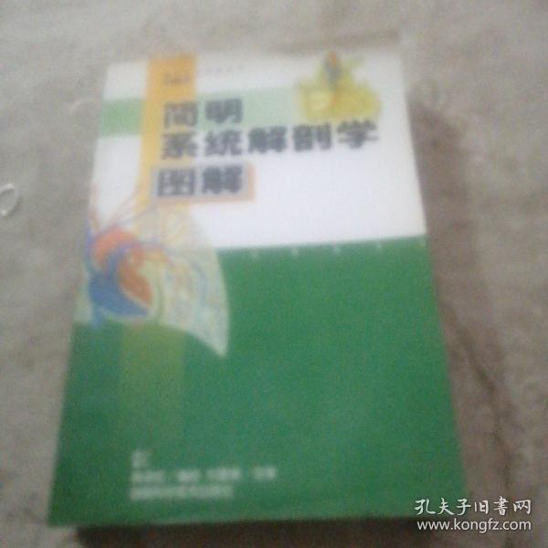 简明系统解剖学图解——简明医学图解丛书（第一辑）