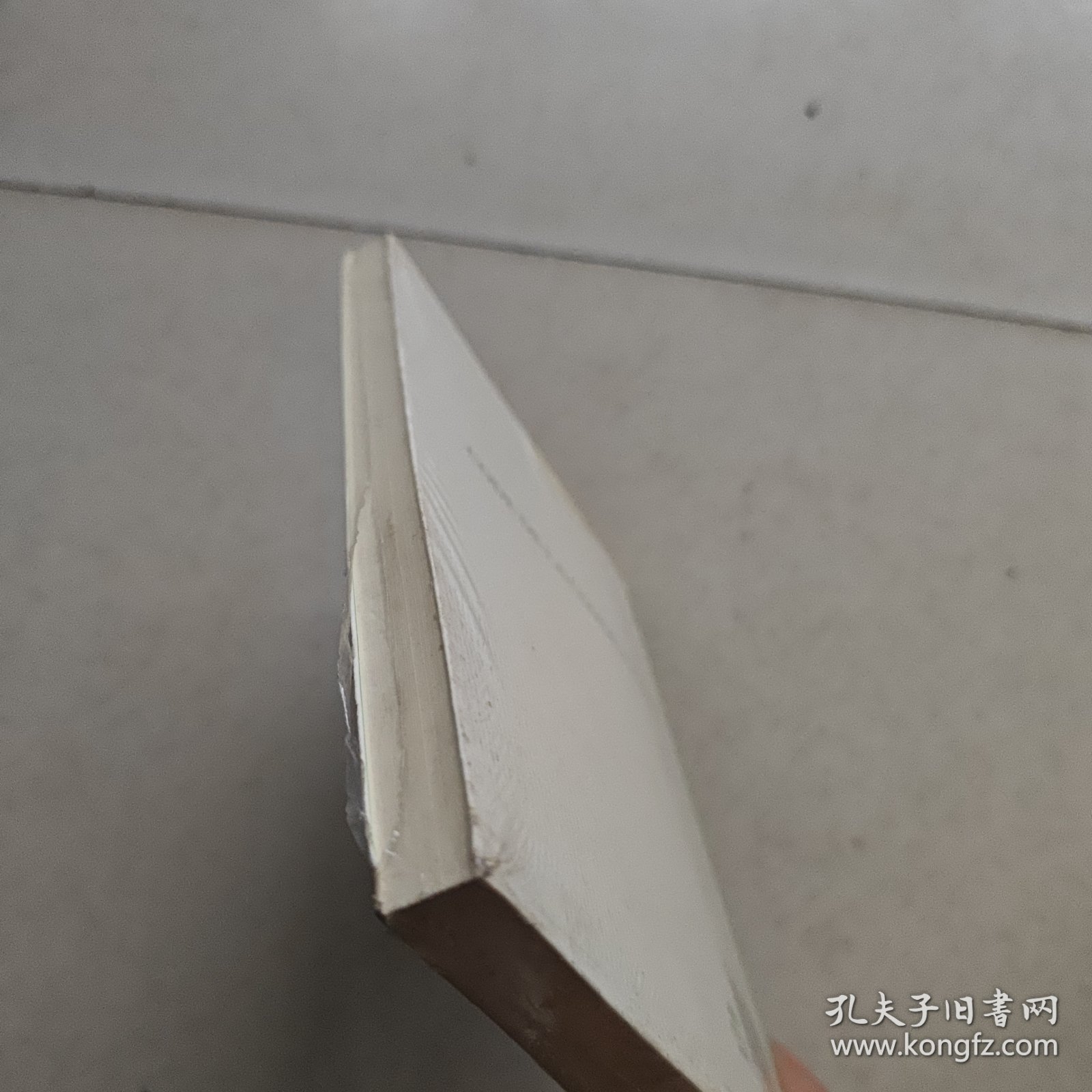 汉译经典017:公有法典