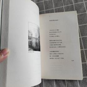 望一望田野,望一望天空：叶赛宁经典诗歌插图珍藏本