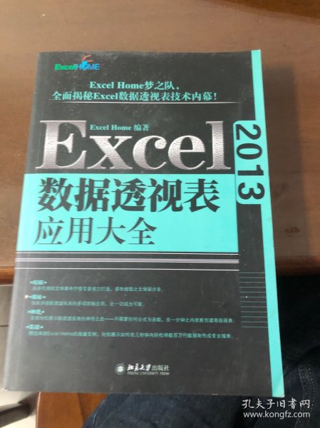 Excel 2013数据透视表应用大全