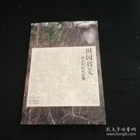 田园将芜：后乡村时代纪事