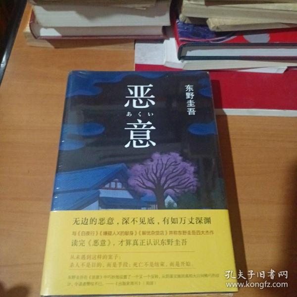 恶意：东野圭吾作品