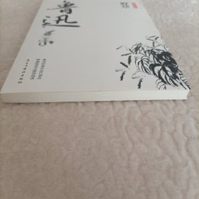 鲁迅经典文集全10册人民文学经典读本散文集杂文精选当代文学鲁文学经典小说