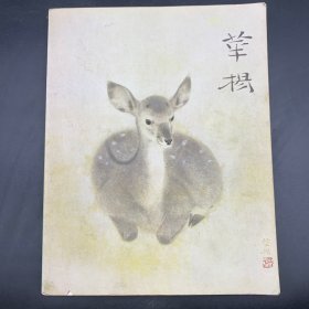 山口华杨回顾展