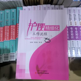 护理精细化工作流程