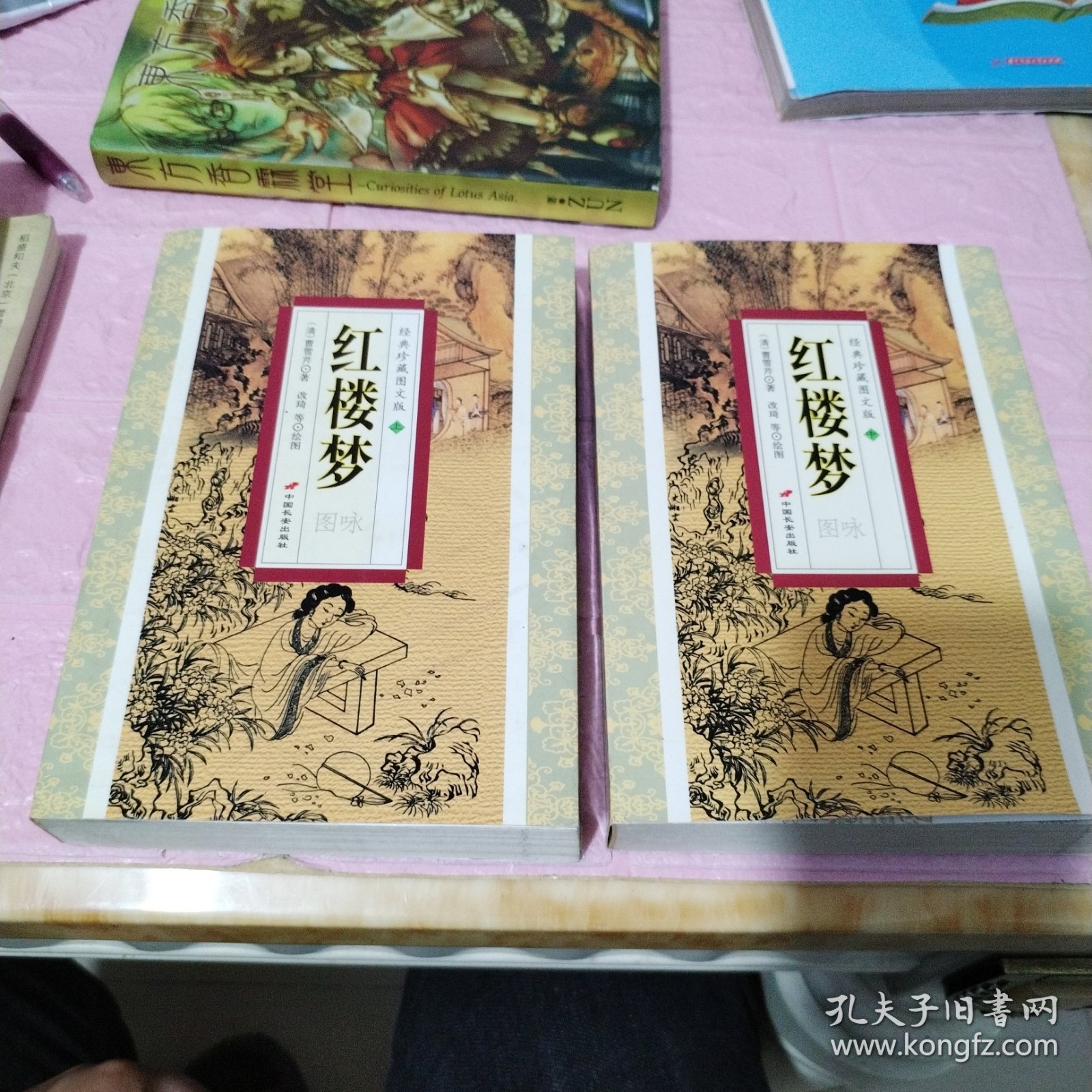 红楼梦图咏 （上中）（经典珍藏图文版）