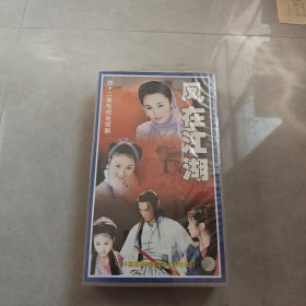 四十二集电视连续剧：凤在江湖 42片装DVD（全新未拆封）