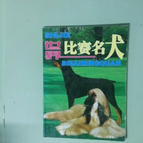 实拍图 比赛名犬