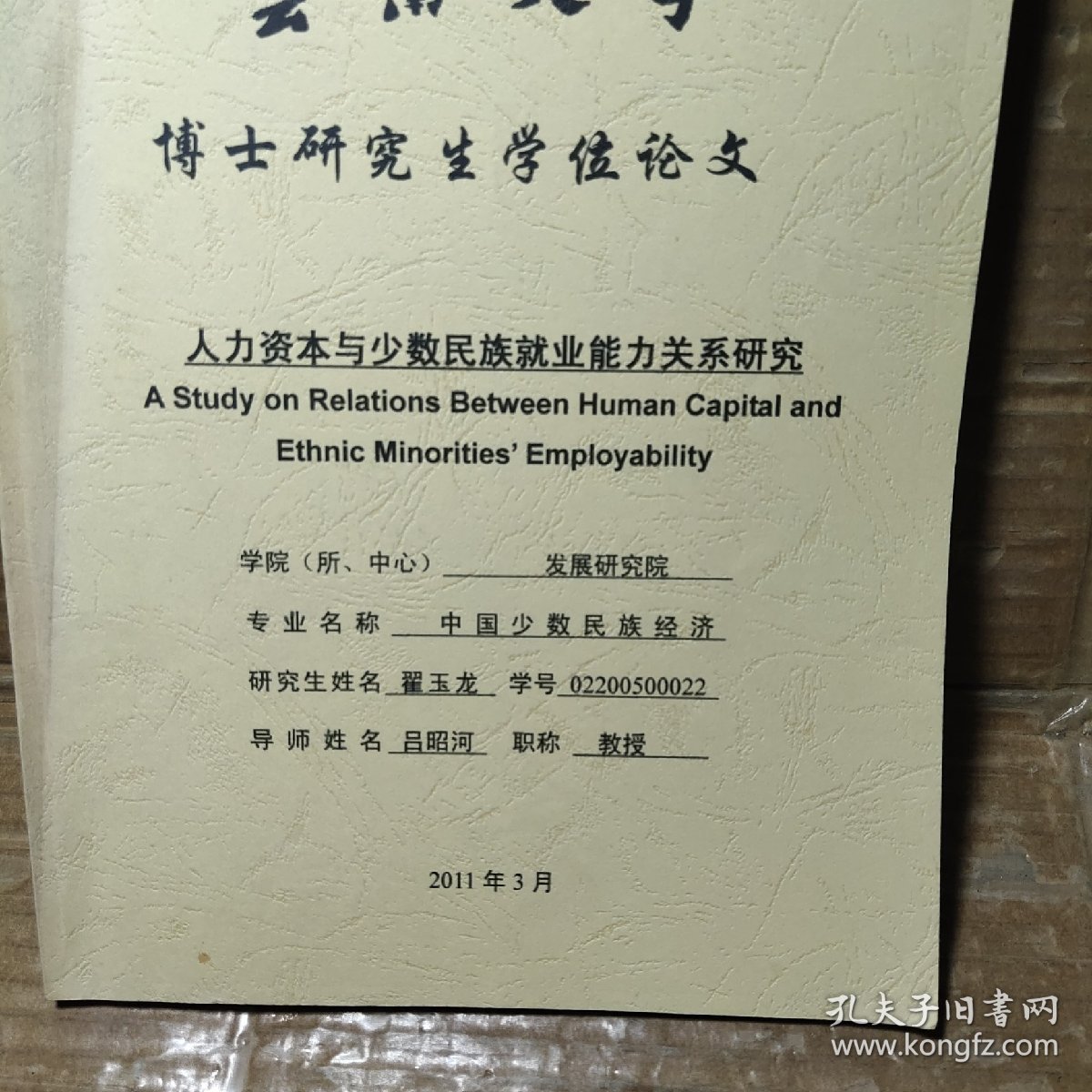 人力这本与少数民族就业能力关系研究