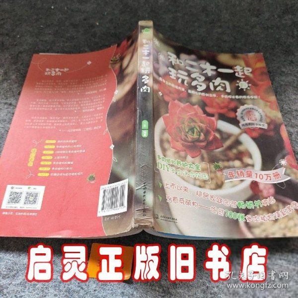 和二木一起玩多肉