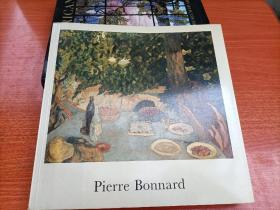 Pierre Bonnard 美术画册艺术图书