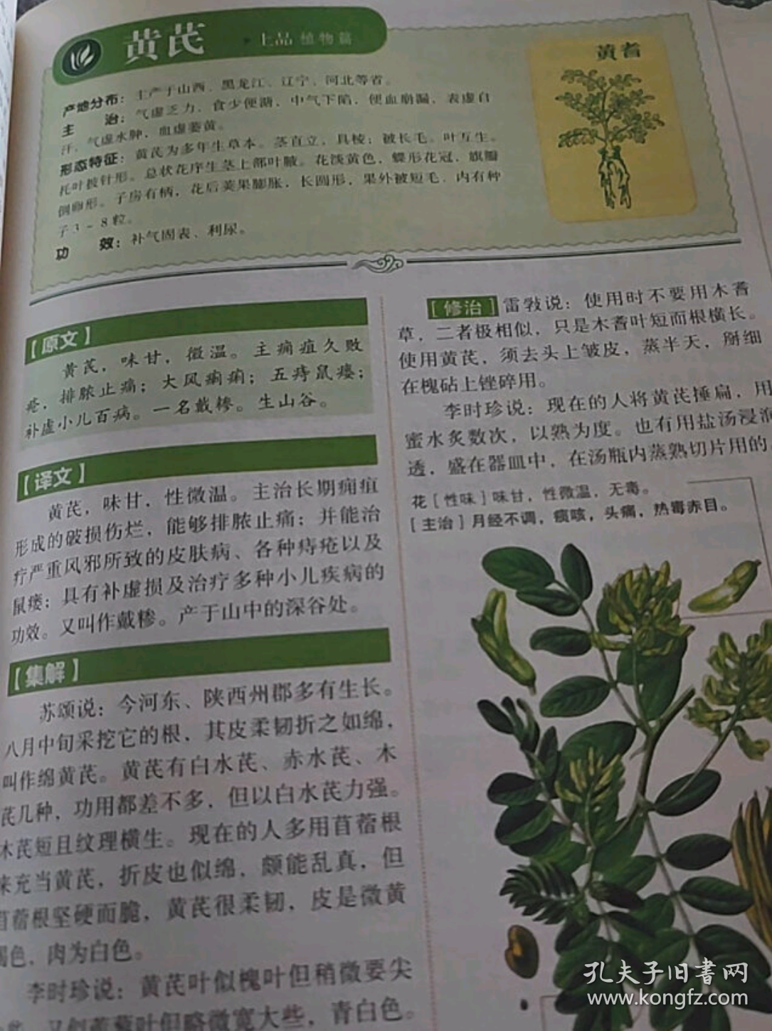 本草纲目（布面精装彩图珍藏版美绘国学系列）