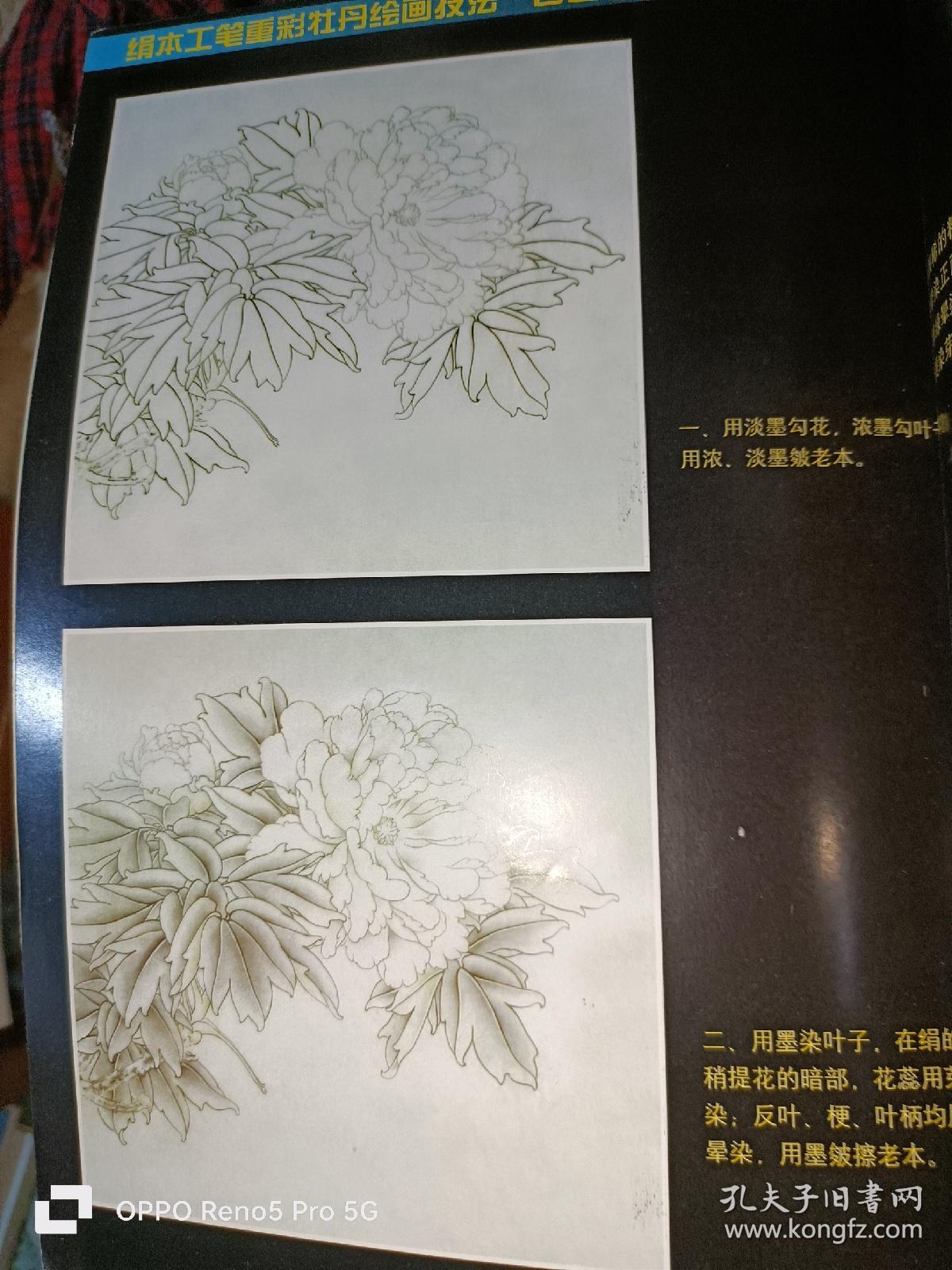 绢本工笔重彩牡丹——高等美术院校绘画教材