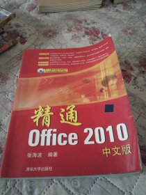 精通Office 2010（中文版）