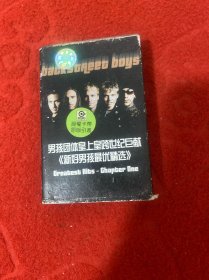 新好男孩最优精选 磁带