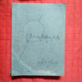 电影文学剧本。早晨八九点钟的太阳。不写题。完整版约56,000字。