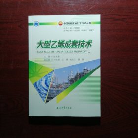 大型乙烯成套技术/中国石油炼油化工技术丛书