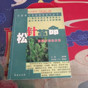 松针革命:健康长寿启示录