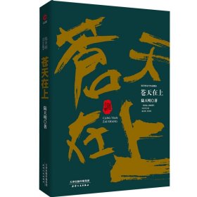 陆天明当代作品精选：苍天在上