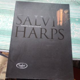 salvi harps 萨尔维竖琴