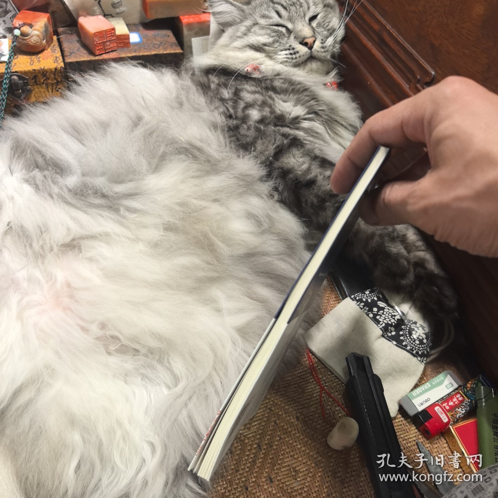 文史知识文库：词学名词释义