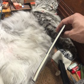 文史知识文库：词学名词释义