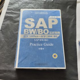 SAP BW/BO实战指南：像学习Office一样学习BW/BO